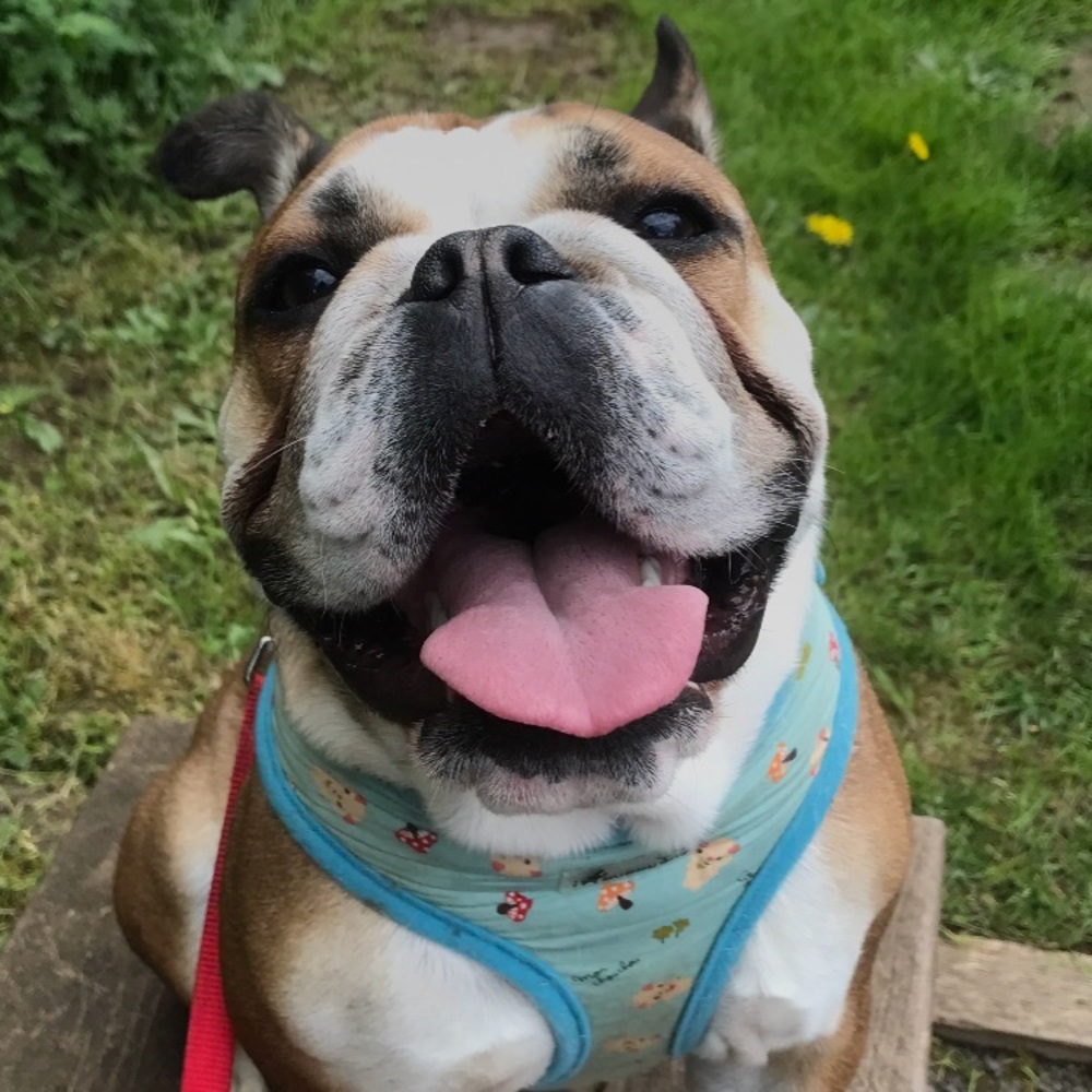 Meet your Posher, Sami
